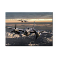 Mosquito Canvas Print